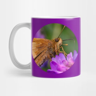 Beautiful Skipper Butterfly Photograph Mug